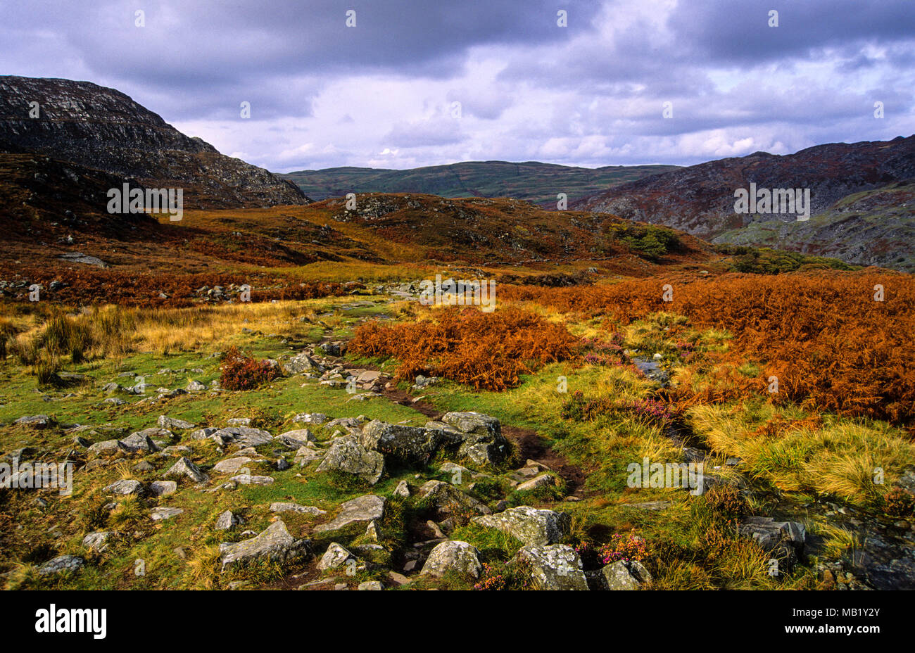 Cwm Bychan montagna, Rhinogydd Mountain Range, Snowdonia National Park, il Galles, UK, GB. Foto Stock