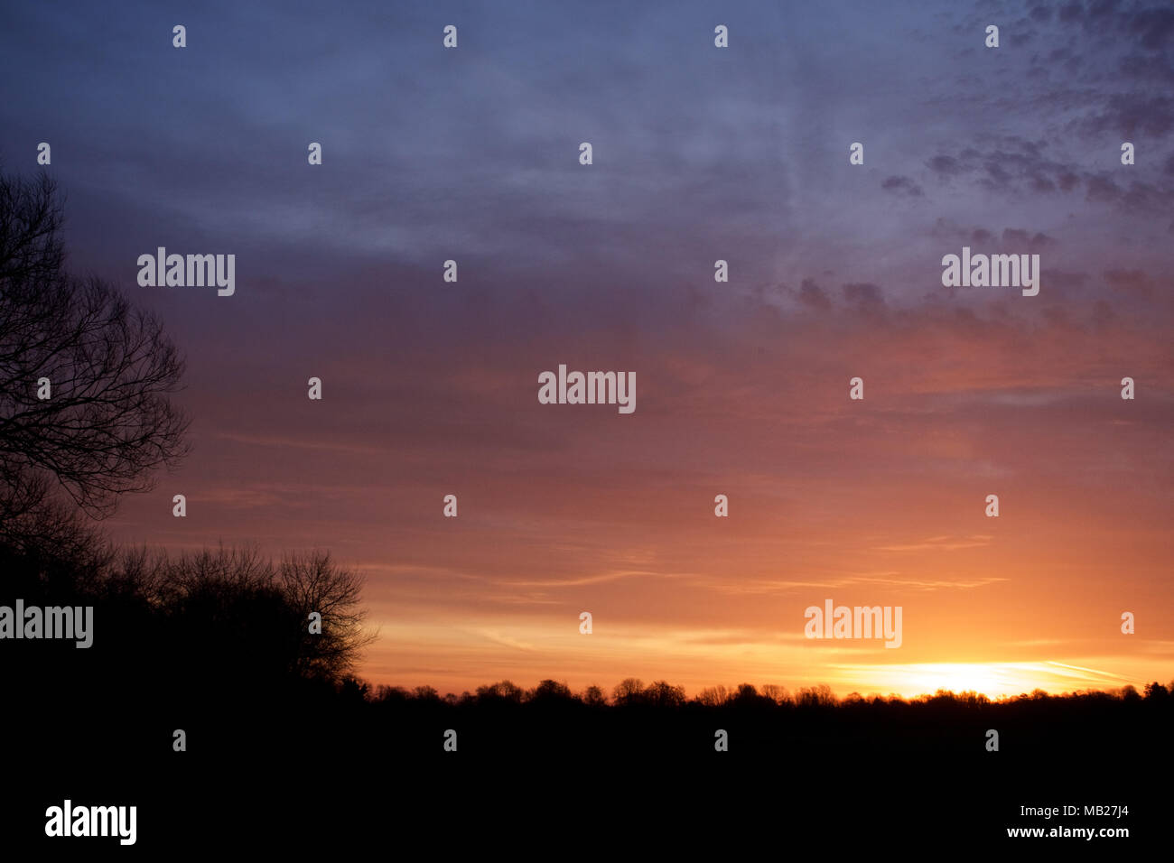 Fullerton, Hampshire, Regno Unito. 6 Aprile, 2018. Regno Unito: Meteo Alba sul credito Fullerton: Ben rettore/Alamy Live News Foto Stock