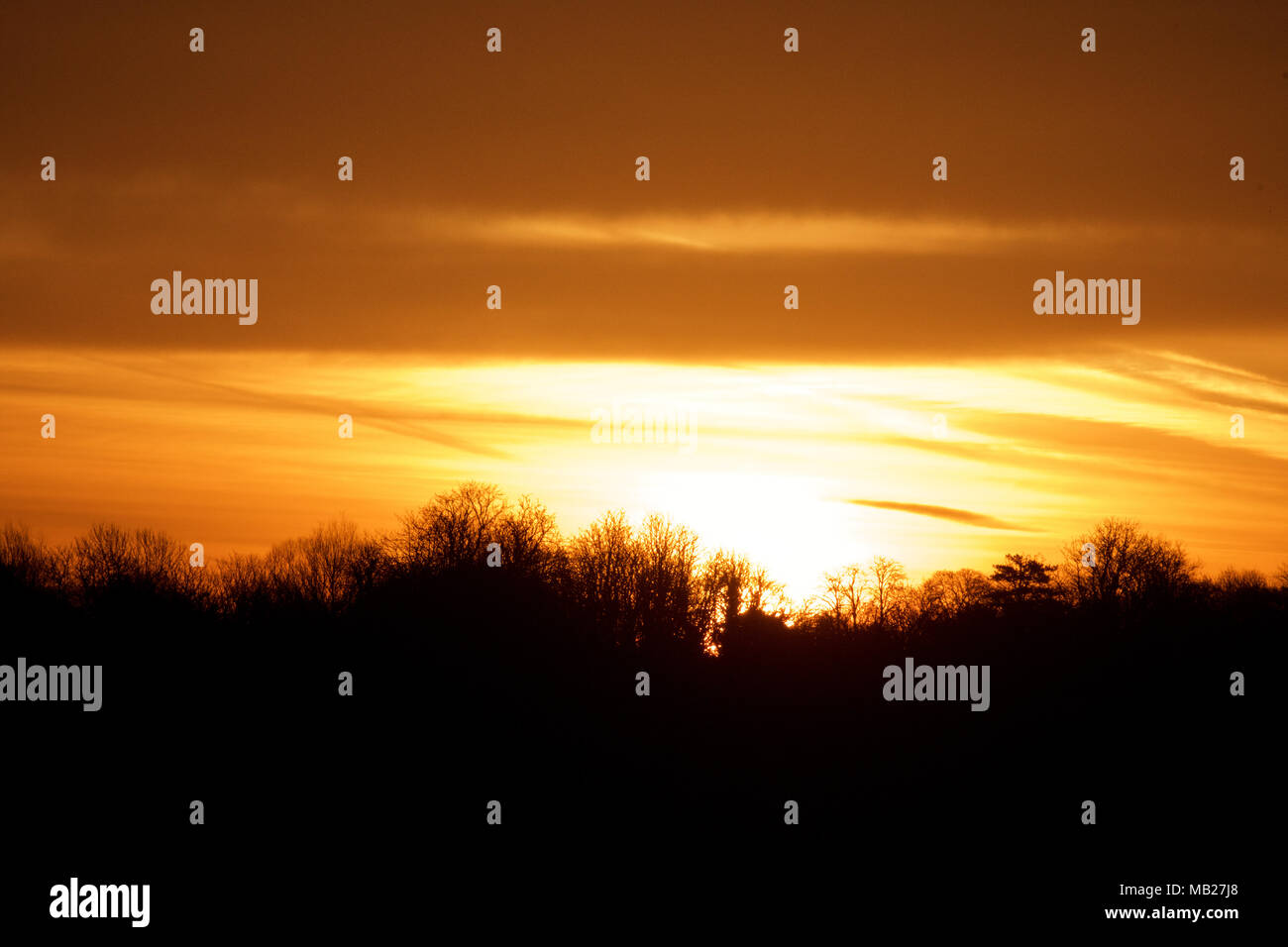 Fullerton, Hampshire, Regno Unito. 6 Aprile, 2018. Regno Unito: Meteo Alba sul credito Fullerton: Ben rettore/Alamy Live News Foto Stock