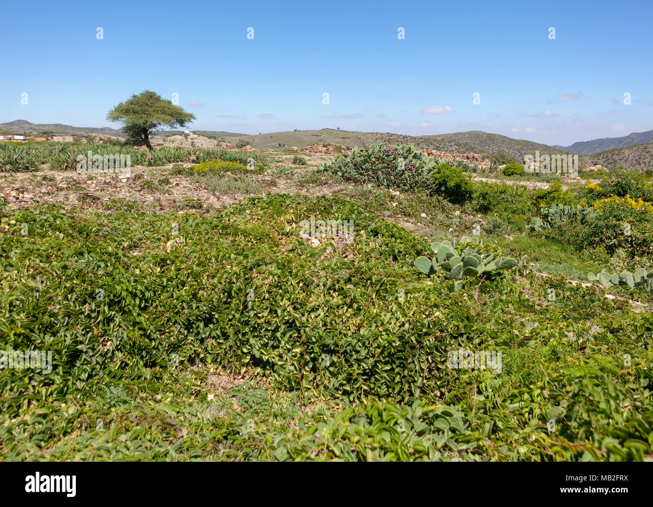 Le rovine di sheikh montagne, Togdheer, Sheikh, il Somaliland Foto Stock