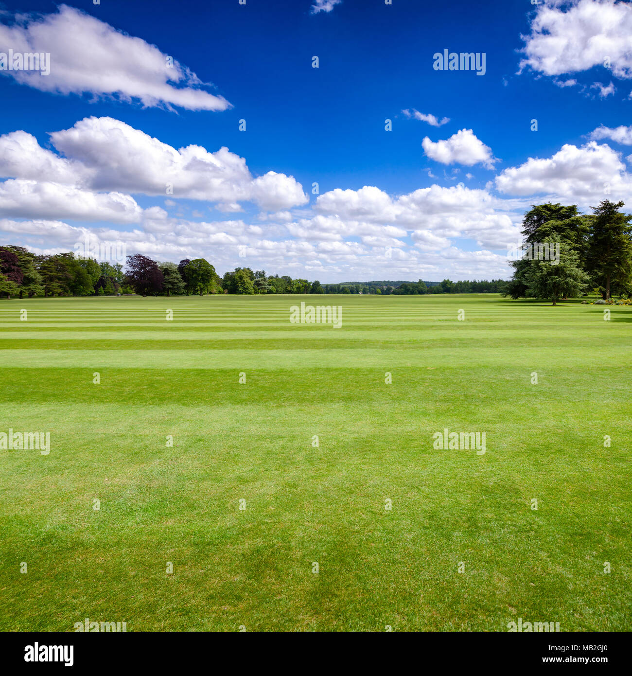 Paesaggio estivo con parco verde prato sotto un cielo blu nel Sud dell Inghilterra REGNO UNITO Foto Stock