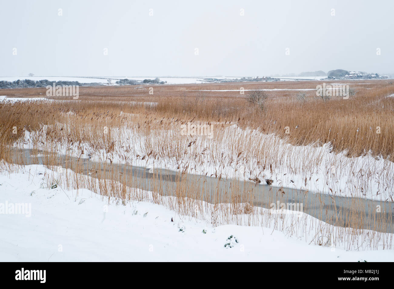 Cley NWT riserva coperta di neve, Cley North Norfolk Febbraio Foto Stock