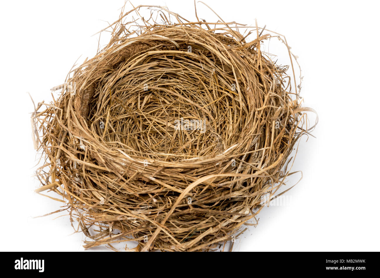 Uccelli e nido immagini e fotografie stock ad alta risoluzione - Alamy