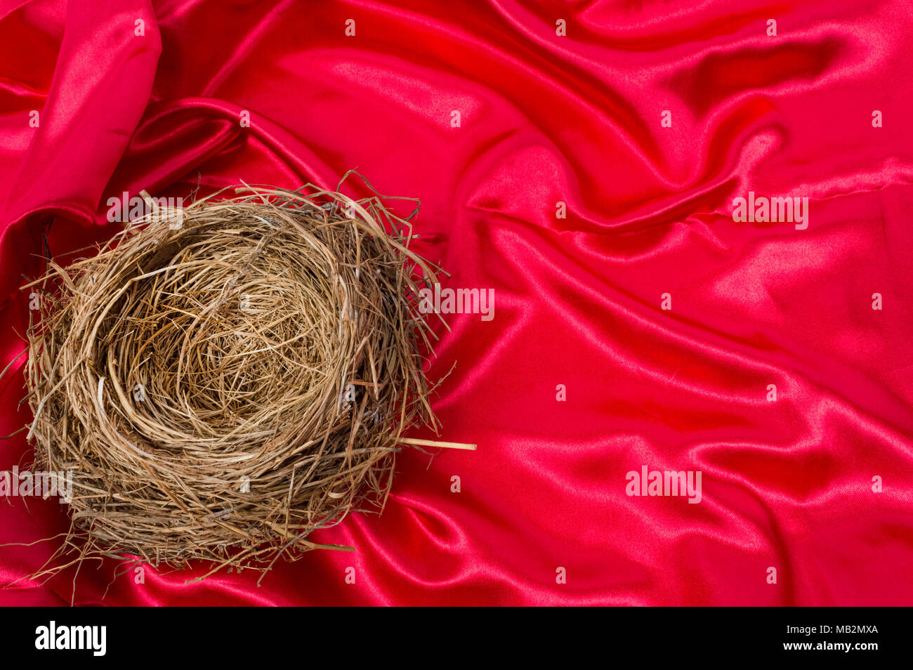 Inquadratura orizzontale di un nido nell'angolo inferiore sinistro del tiro su un bel raso rosso sfondo. Focus è il nido. Foto Stock