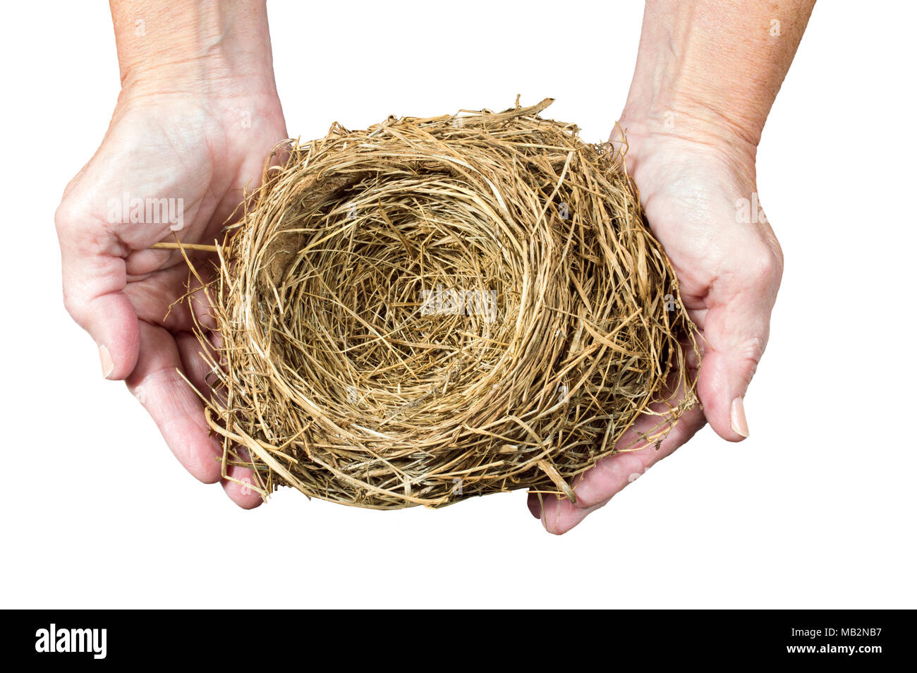 Orizzontale di inquadratura ravvicinata di un vuoto Bird's Nest essendo trattenuto in una donna con le mani in mano. Sfondo bianco. Foto Stock