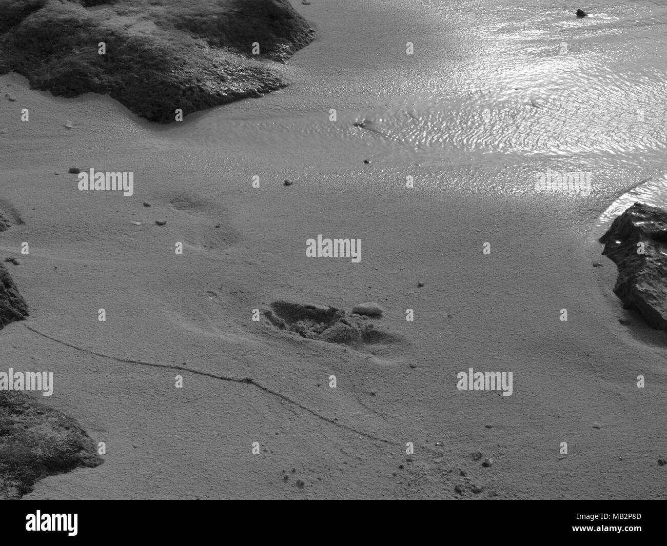 Sbiadita B&W orme nella sabbia delle Bermuda Foto Stock