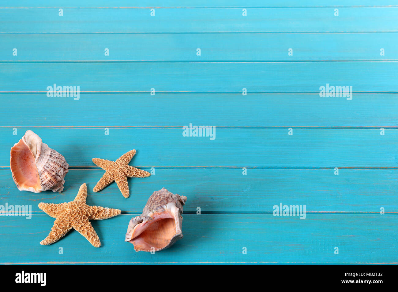 Stella di mare e conchiglie sul vecchio blu spiovente in legno dipinto di appontaggio. Spazio per la copia. Foto Stock