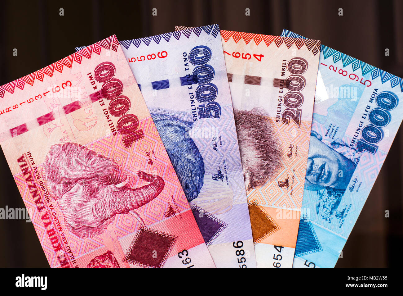 Le quattro banconote disponibili dalla Tanzania nel denonmination di scellini tanzaniani: 10.000, 5.000, 2.000 e 1.000, fotografato in location in Da Foto Stock