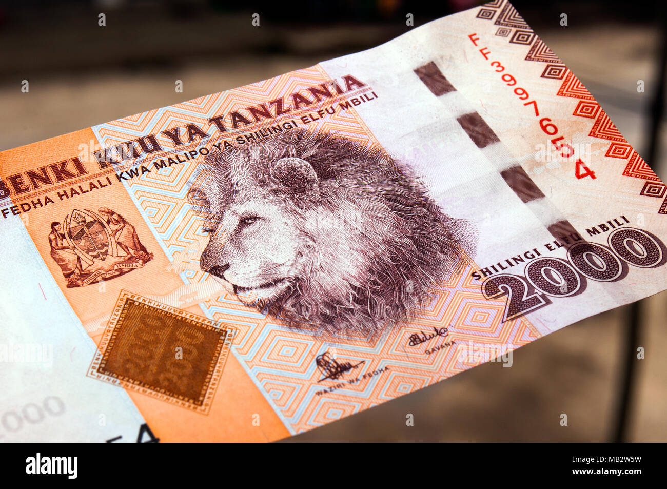 Il tanzaniano scellino 2.000 banconota raffigurante la testa del leone maschio, fotografato in location in Dar es Salaam Foto Stock