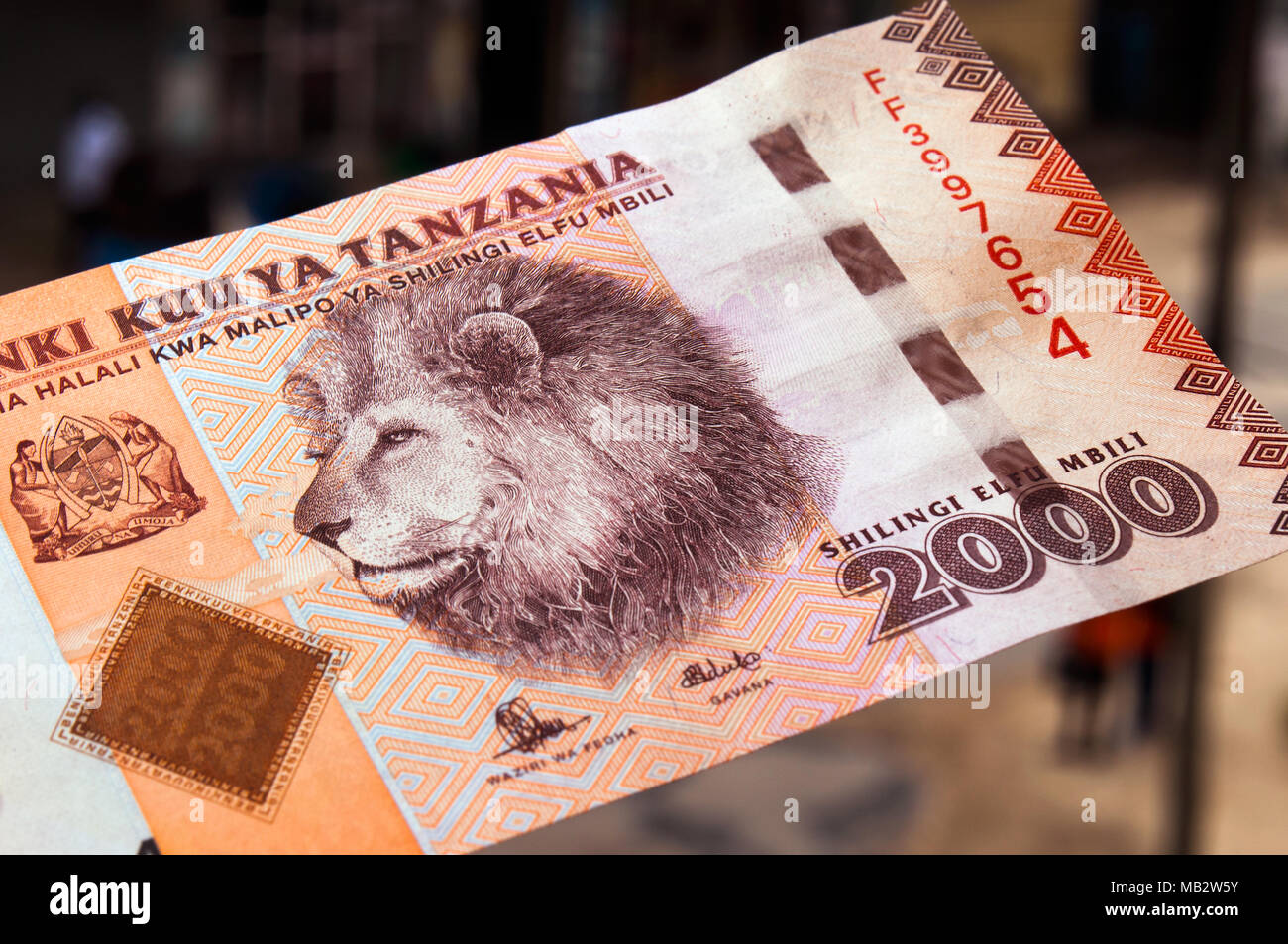 Il tanzaniano scellino 2.000 banconota raffigurante la testa del leone maschio, fotografato in location in Dar es Salaam Foto Stock