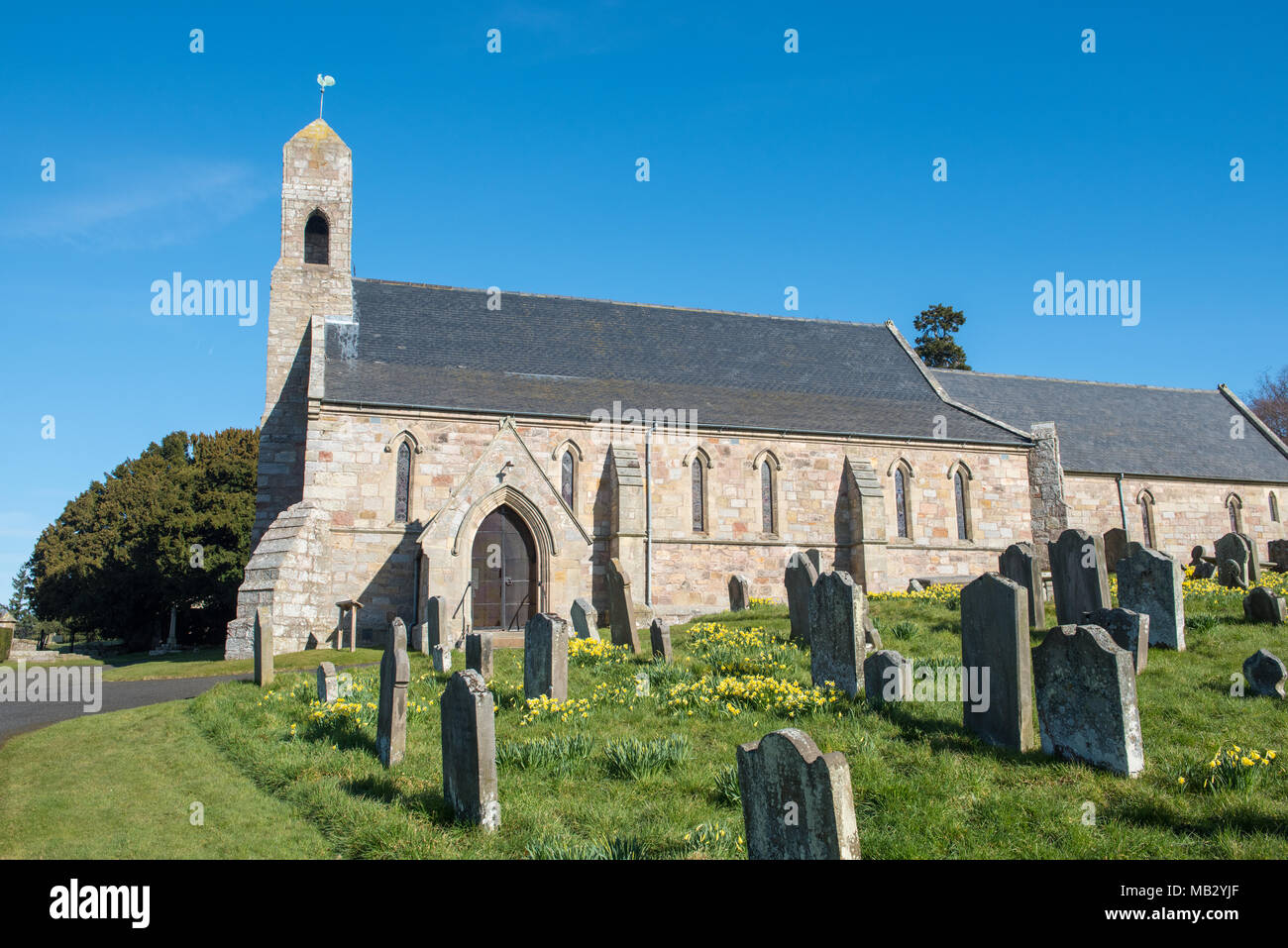Storica chiesa in pietra e cimitero circondati da narcisi in fiore sotto il cielo azzurro nell'Inghilterra rurale Foto Stock