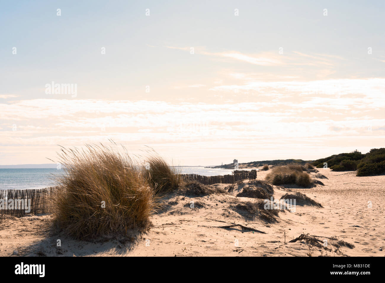Scena di spiaggia spiaggia con dune e copia dello spazio. Es Cavallet, Isola di Ibiza. Scena al tramonto. Foto Stock