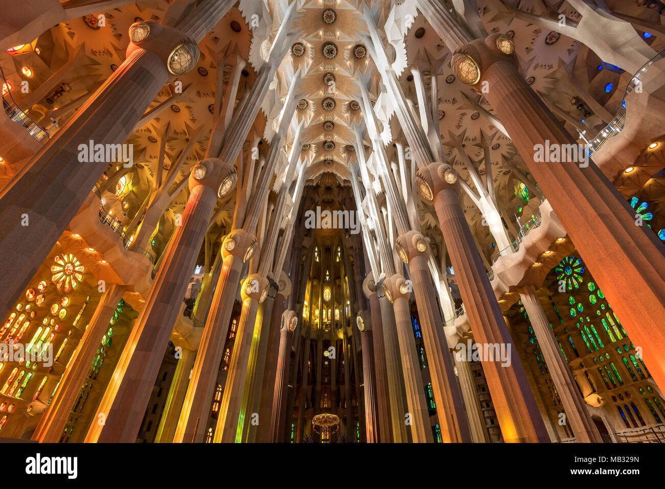 Basso angolo di visione del tetto della navata, Sagrada Familia di Barcellona, in Catalogna, Spagna Foto Stock