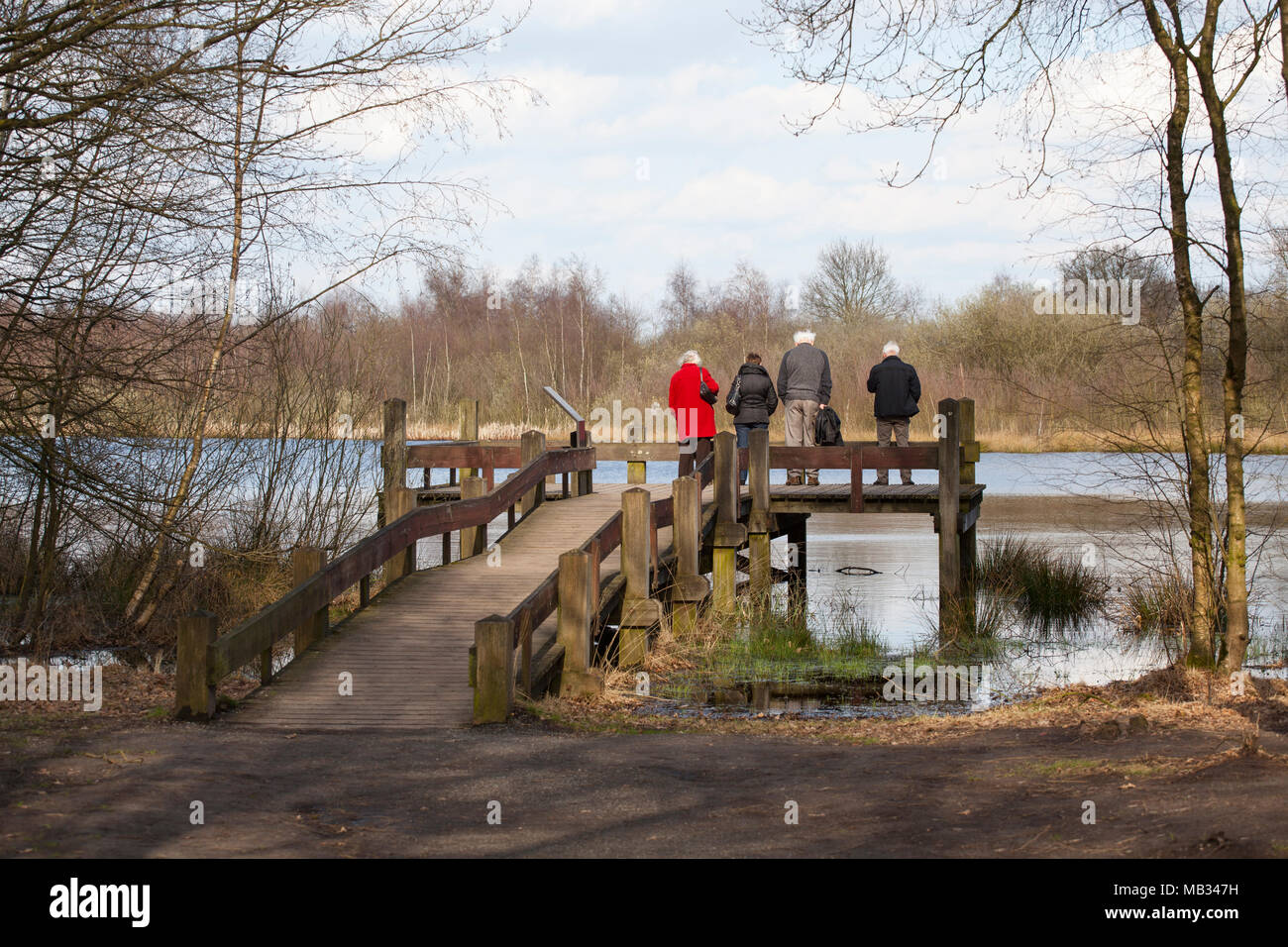 Gruppo di anziani guardando il lago in natura al Parco Nazionale di 'de Groote Peel', Paesi Bassi, in primavera Foto Stock