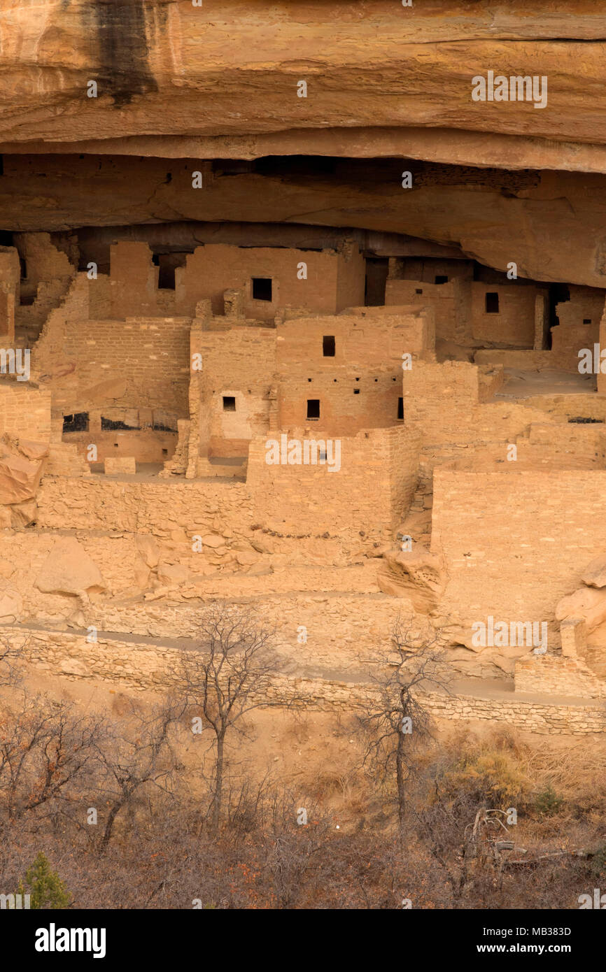 Cliff Palace, Mesa Verde National Park, COLORADO Foto Stock