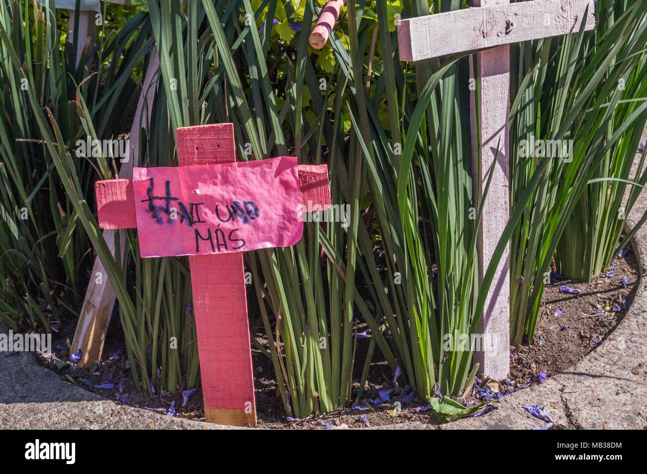 Croci di legno in rosa come una protesta contro la precarietà e feminicide in Messico, posto in Reforma Avenue e a Città del Messico. Foto Stock