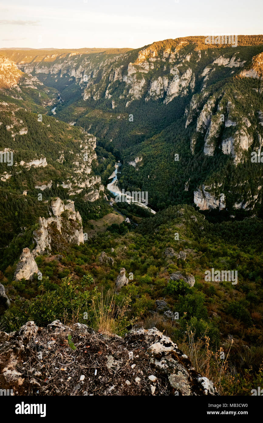 Le Gorges du Tarn un drammatico Limestone Gorge in esecuzione da Le Rozier, nord di Millau, Quézac, nel dipartimento della Lozère, Massiccio centrale in Francia. Foto Stock
