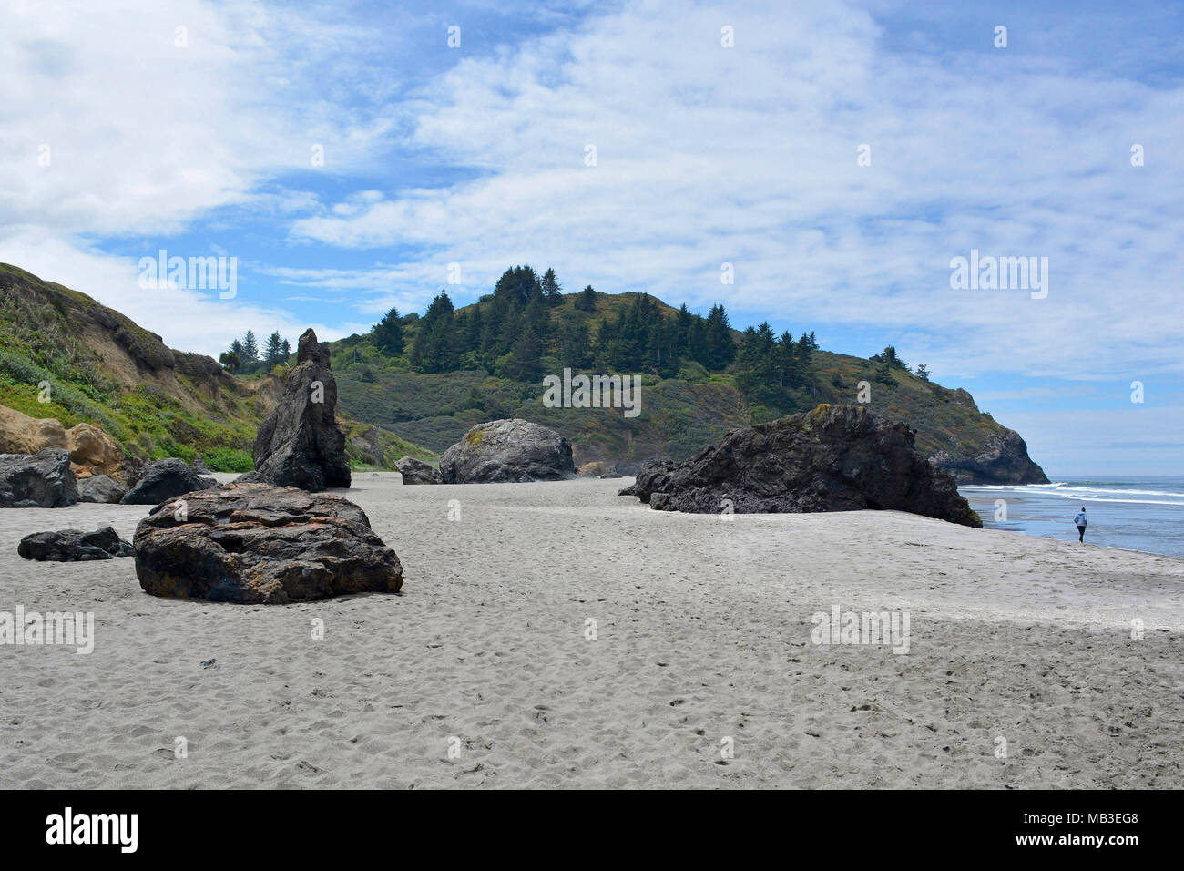 Trinidad State Beach Foto Stock