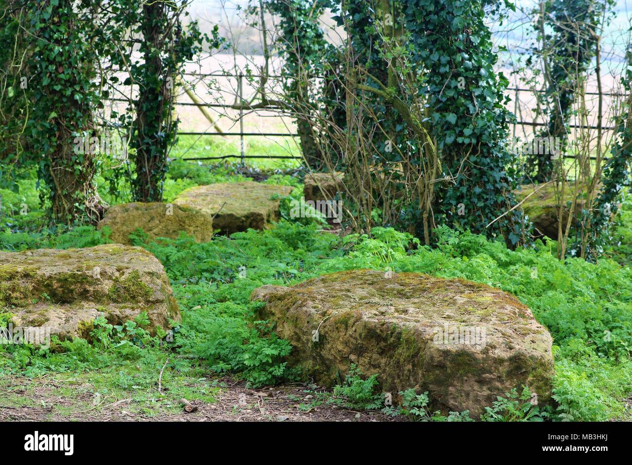 Pietre all'ingresso della Rollright Stones a Cotswold Hill, Oxfordshire e confine Warwickshire, Regno Unito Foto Stock