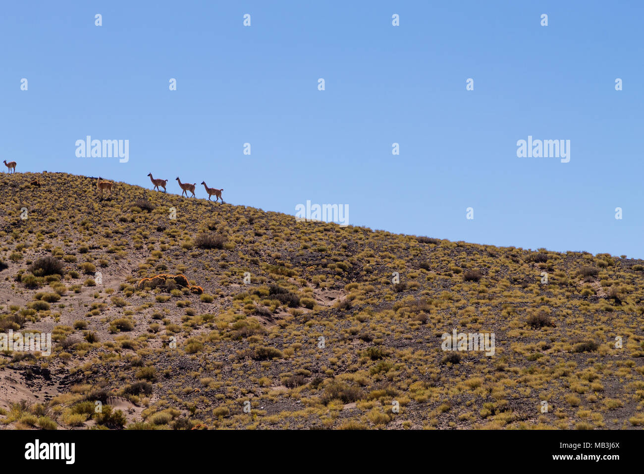 Cileno paesaggio montagne,Cile.altopiano andino visualizza Foto Stock