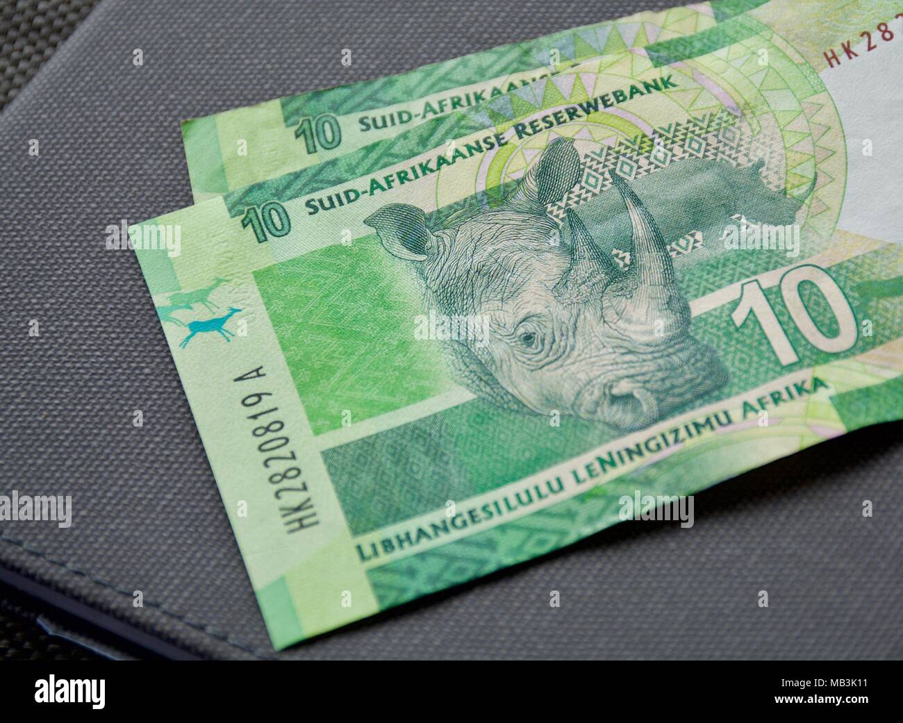 South African Rand dieci banche banconote con immagine di un rinoceronte Foto Stock