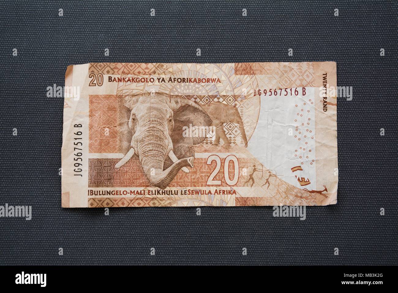 Singolo 20 Rand nota con disegni africani e un elefante Foto Stock