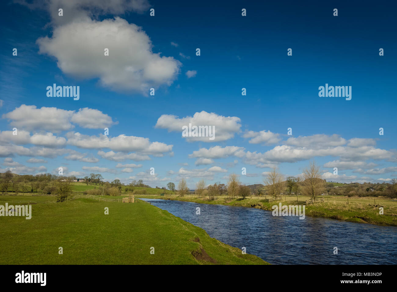 Il fiume Ribble ad ovest di Sawley, Lancashire, Regno Unito. Foto Stock