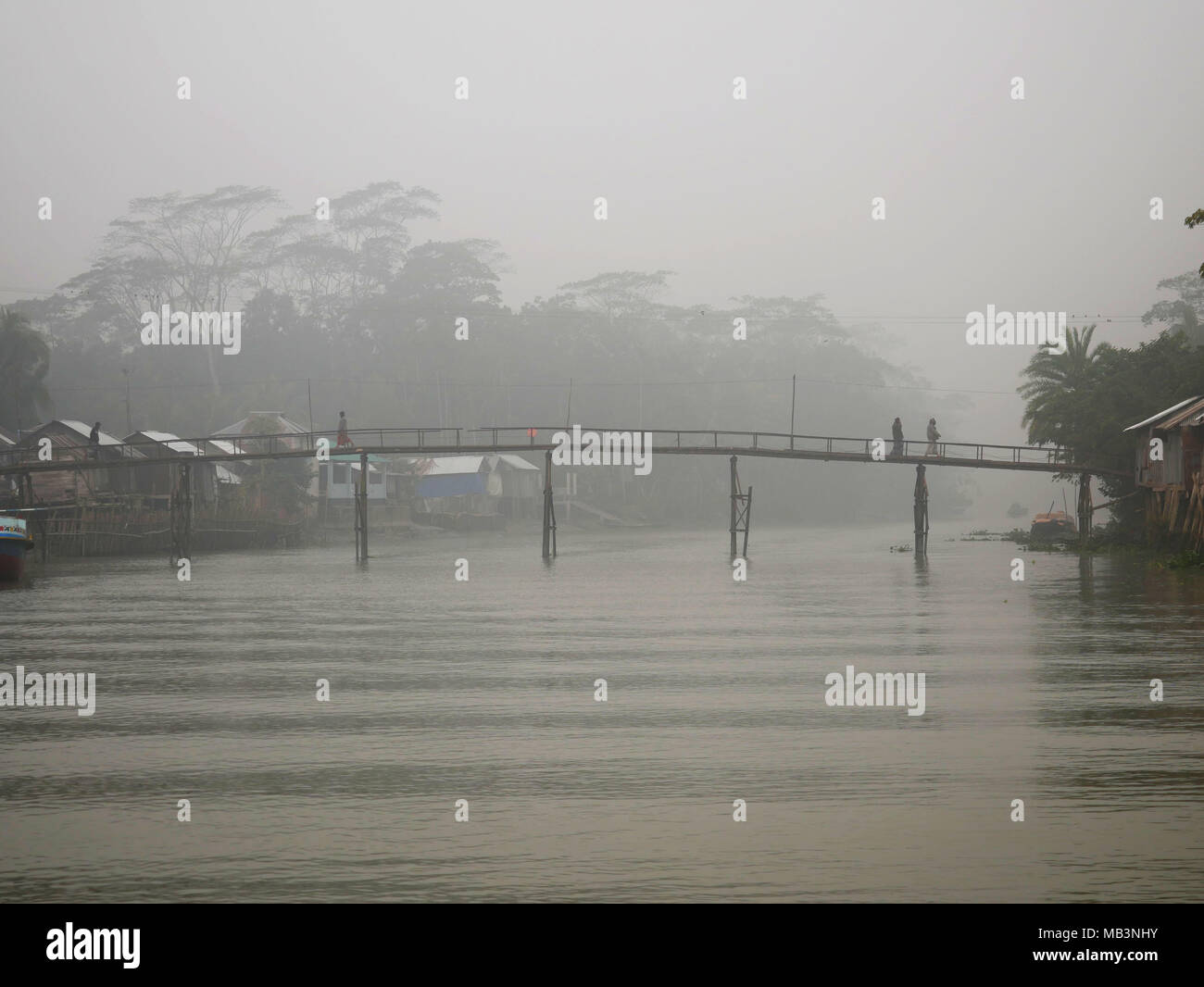 Un ponte in lagune. Nel delta dei fiumi Ganga (Padma), Brahmaputra e Meghna persone vivono sull'acqua. Area intorno al paese Banaripara è allagato con acqua. Le persone vivono in villaggi sulle rive dei canali del fiume. No il trasporto su strada è possibile. Solo acqua e le navi che li collegano con il resto del mondo. Ma la zona è molto vivace. Gli agricoltori coltivano frutta e verdura, il riso e le colture su 2 700 chilometri quadrati di territorio tra il fiume canali. I fornitori visita il loro cliente su barche. Mercati galleggianti con verdura, frutta, di riso o di legname sono comuni in questo settore. Le persone a costruire navi qui, fare Foto Stock