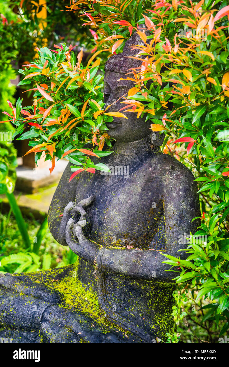 Scultura di Buddha nei giardini di Omah Setumbu, Dusun Karangbunder, Desa Karangrejo, il Borobudur, Giava centrale, Indonesia Foto Stock