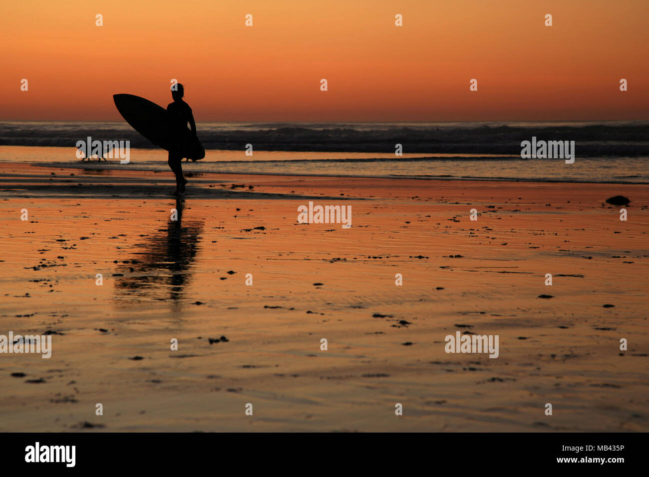 Un surfista e un cane stand stagliano contro il tramonto a Asilomar Beach in California Foto Stock