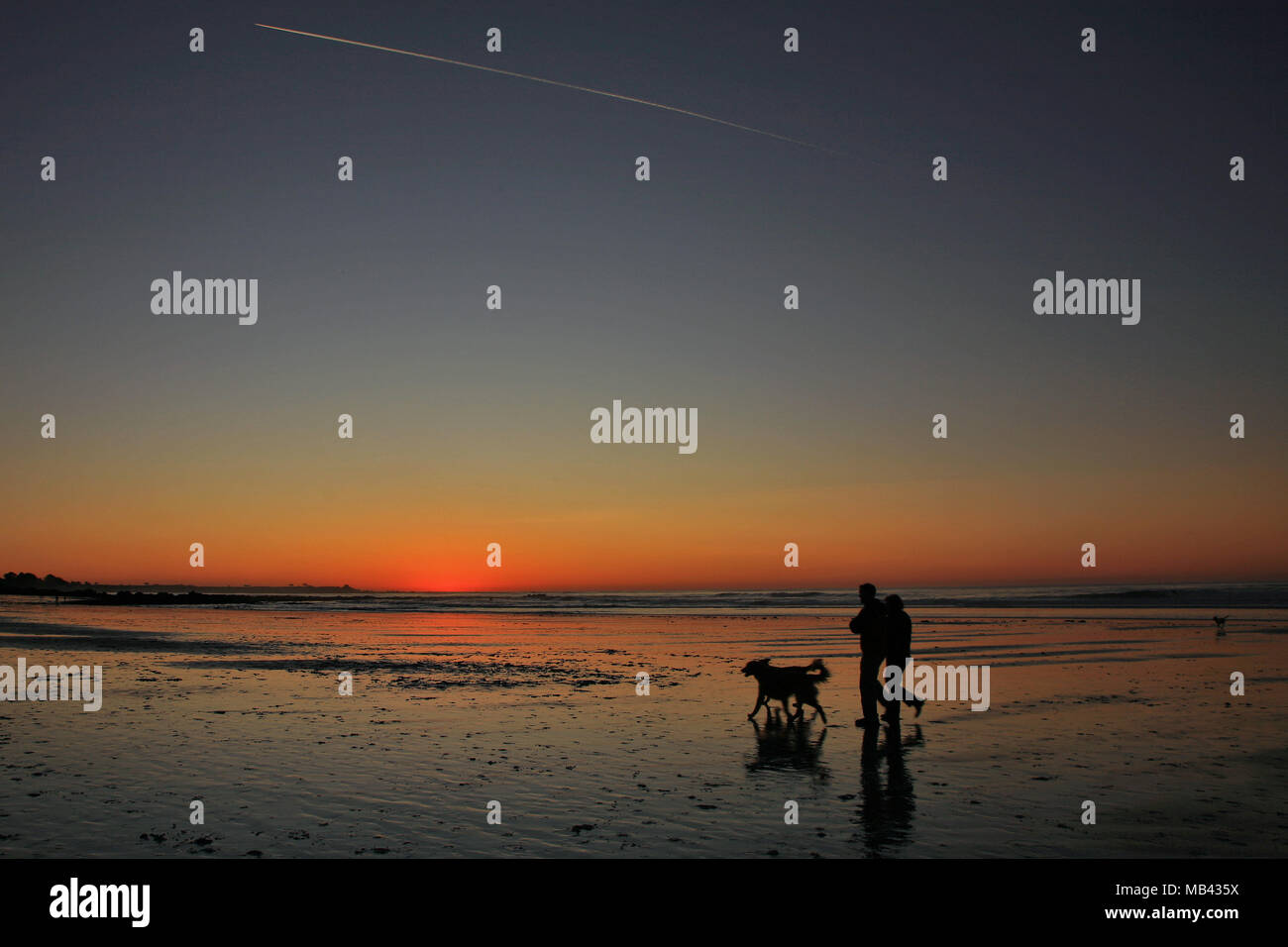 Un giovane e un cane si stagliano contro arancione tramonto a stato Asilomar Beach in California Foto Stock