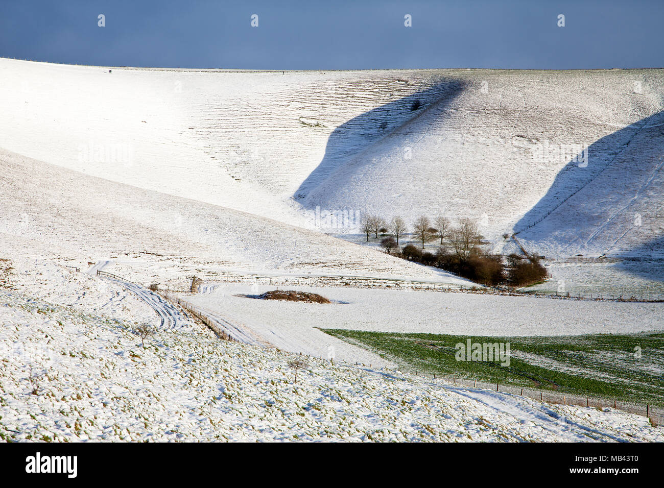 Una spolverata di neve sul Pewsey Downs nel Wiltshire. Foto Stock