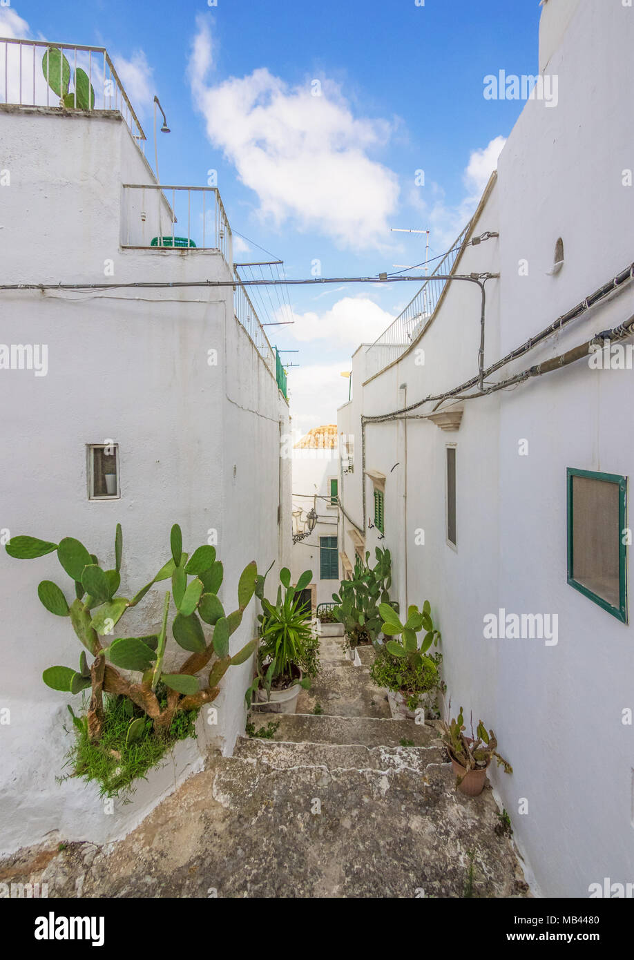 Ostuni (Puglia, Italia) - La splendida città bianca in provincia di Brindisi, puglia, Italia meridionale, con il vecchio centro storico sulla collina Foto Stock