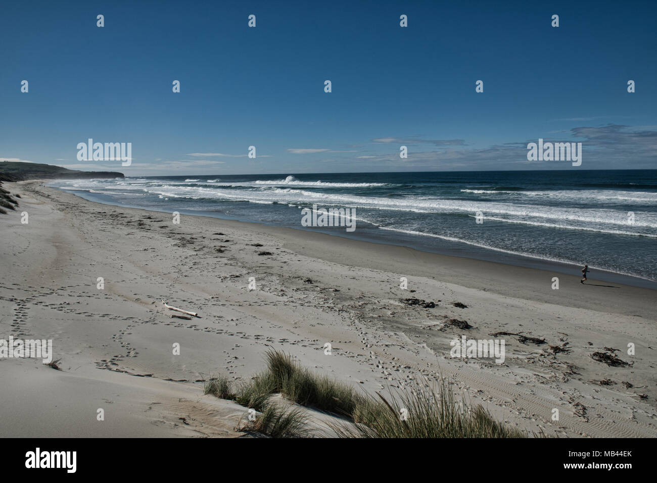 Miglia di sabbia vuota, St. Clair Beach, Dunedin, Nuova Zelanda Foto Stock