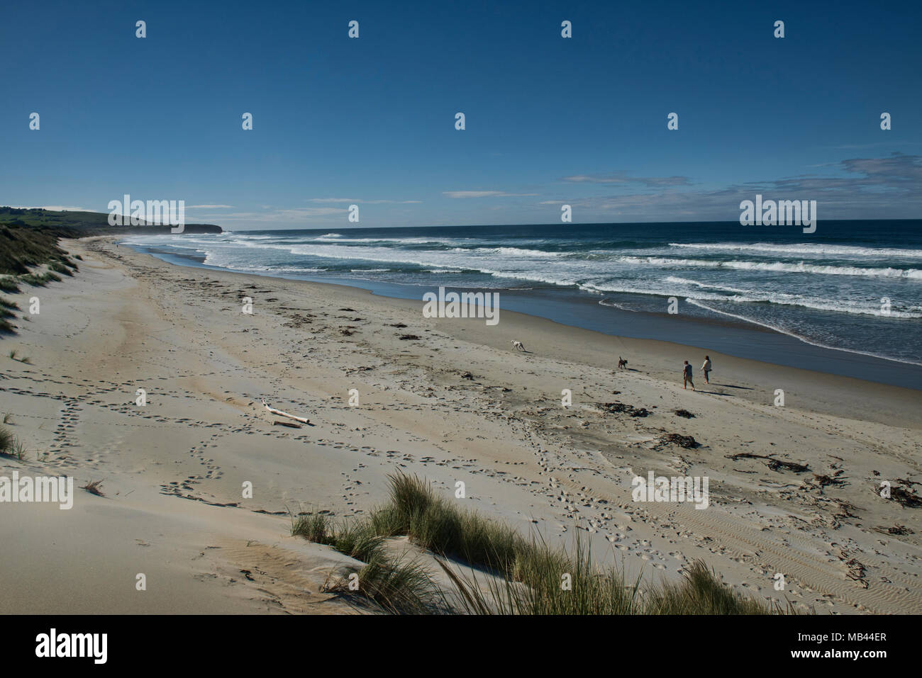 Miglia di sabbia vuota, St. Clair Beach, Dunedin, Nuova Zelanda Foto Stock