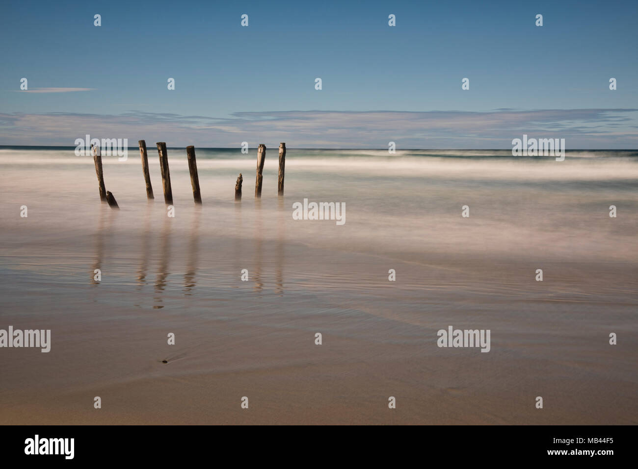 Il vecchio molo poli, St. Clair Beach, Dunedin, Nuova Zelanda Foto Stock