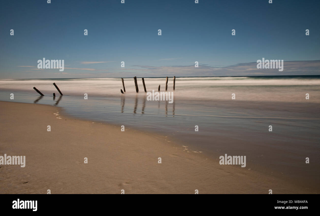 Il vecchio molo poli, St. Clair Beach, Dunedin, Nuova Zelanda Foto Stock