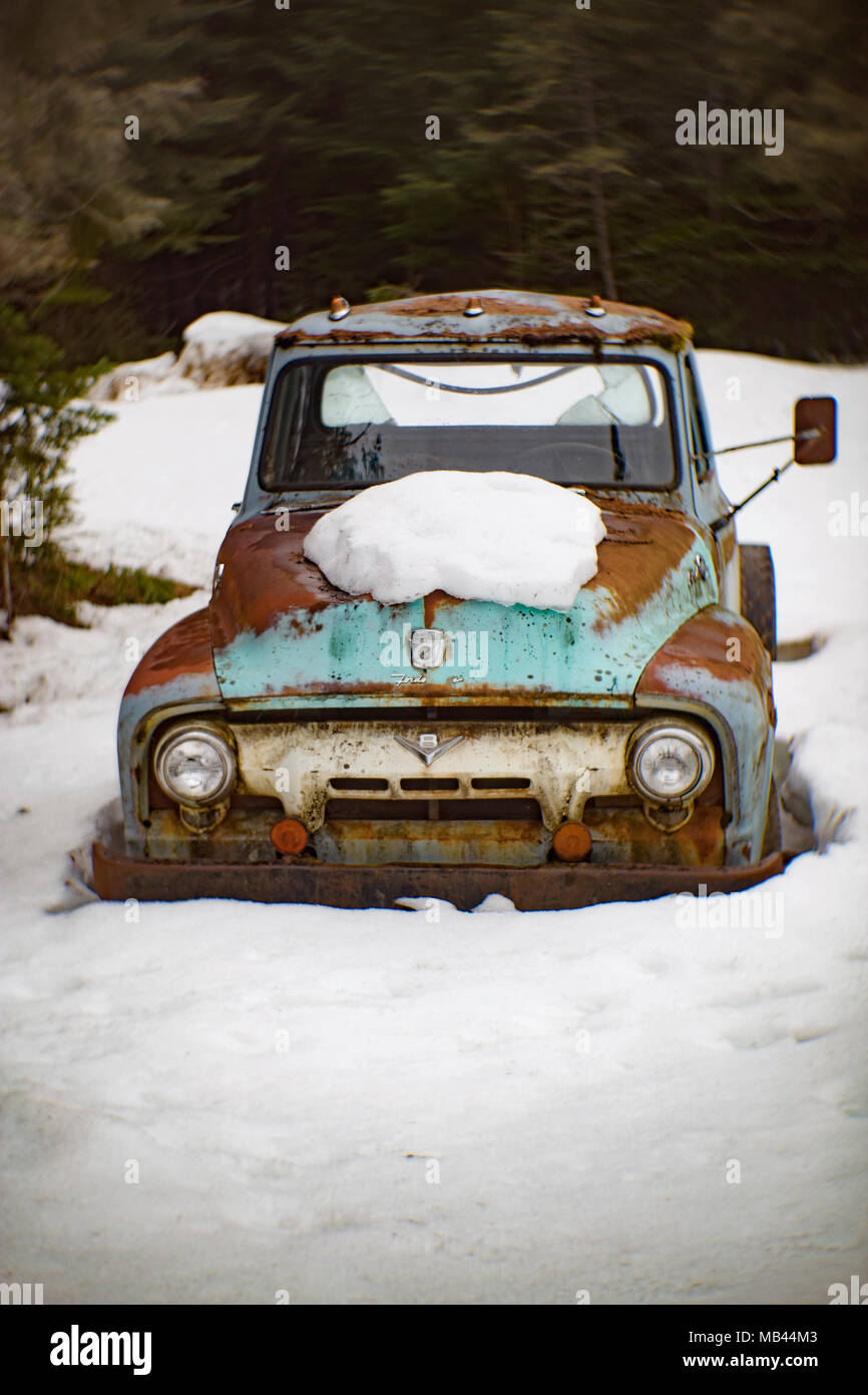 La parte anteriore di un vecchio, blu 1954 Ford F-250 carrello, in una zona boscosa, in Noxon, Montana. Foto Stock