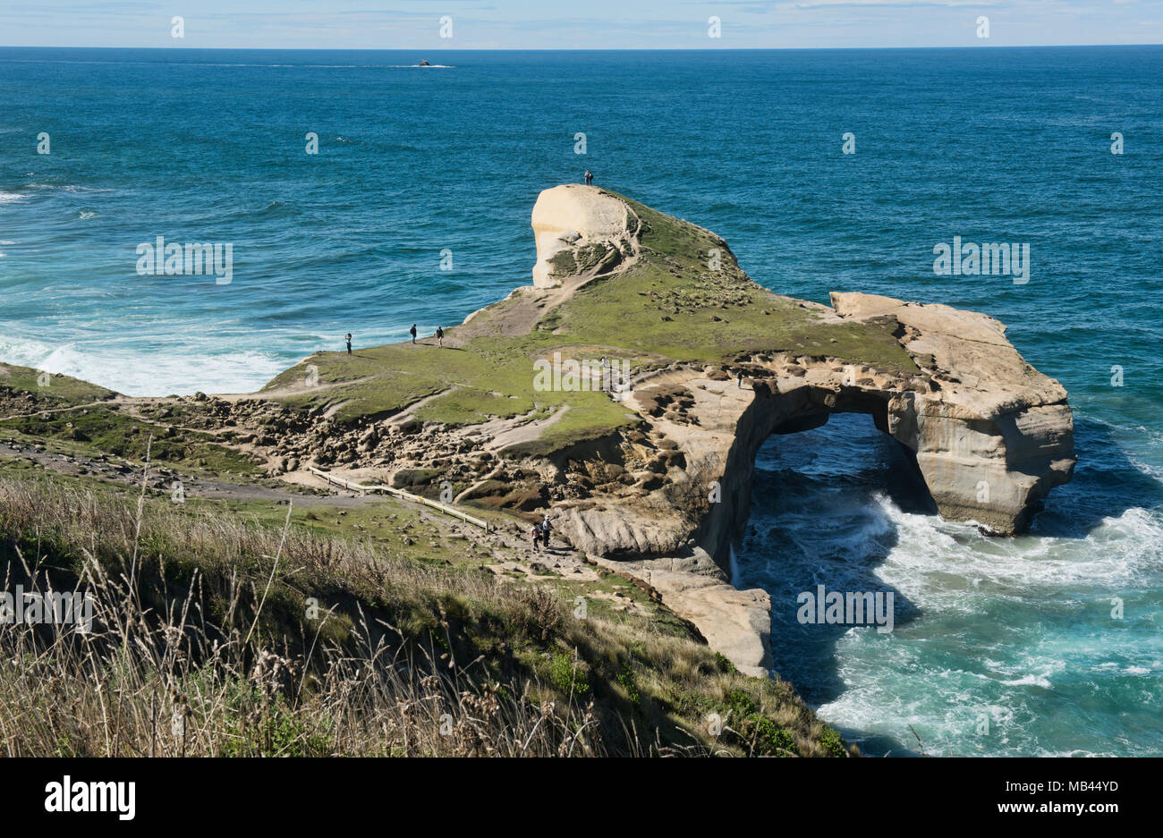 Tunnel drammatico Beach, Dunedin, Nuova Zelanda Foto Stock