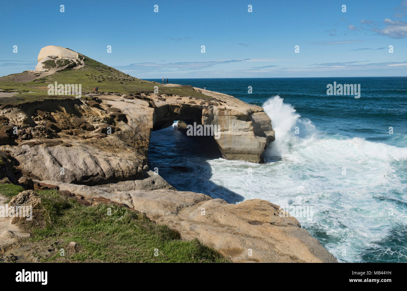 Tunnel drammatico Beach, Dunedin, Nuova Zelanda Foto Stock