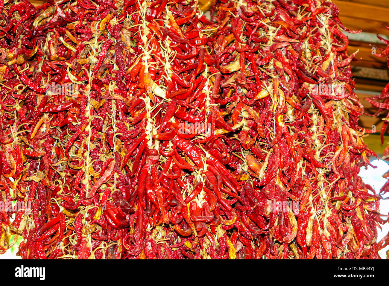 I grappoli di peperoncini piccanti appesi in ristorante, Marmaris, Mugla, Turchia Foto Stock