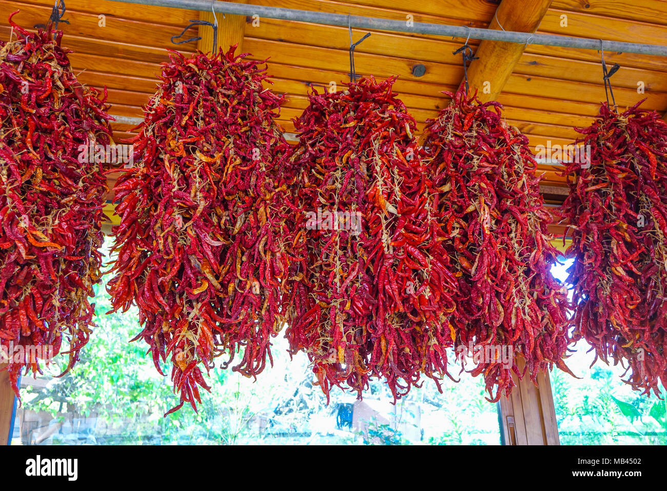 I grappoli di peperoncini piccanti appesi in ristorante, Marmaris, Mugla, Turchia Foto Stock