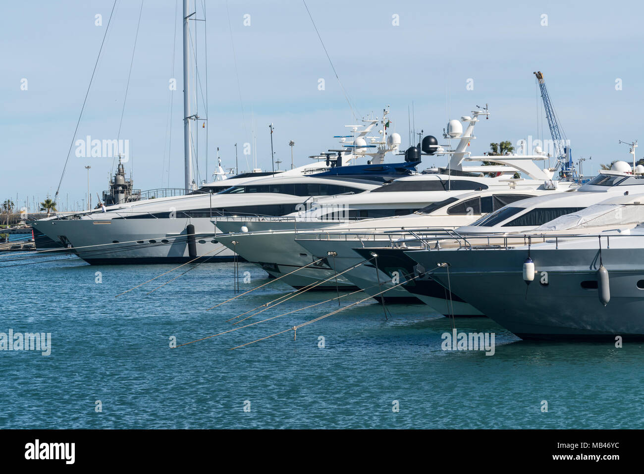 Barche a motore in Royal Marina Valencia Spagna Foto Stock