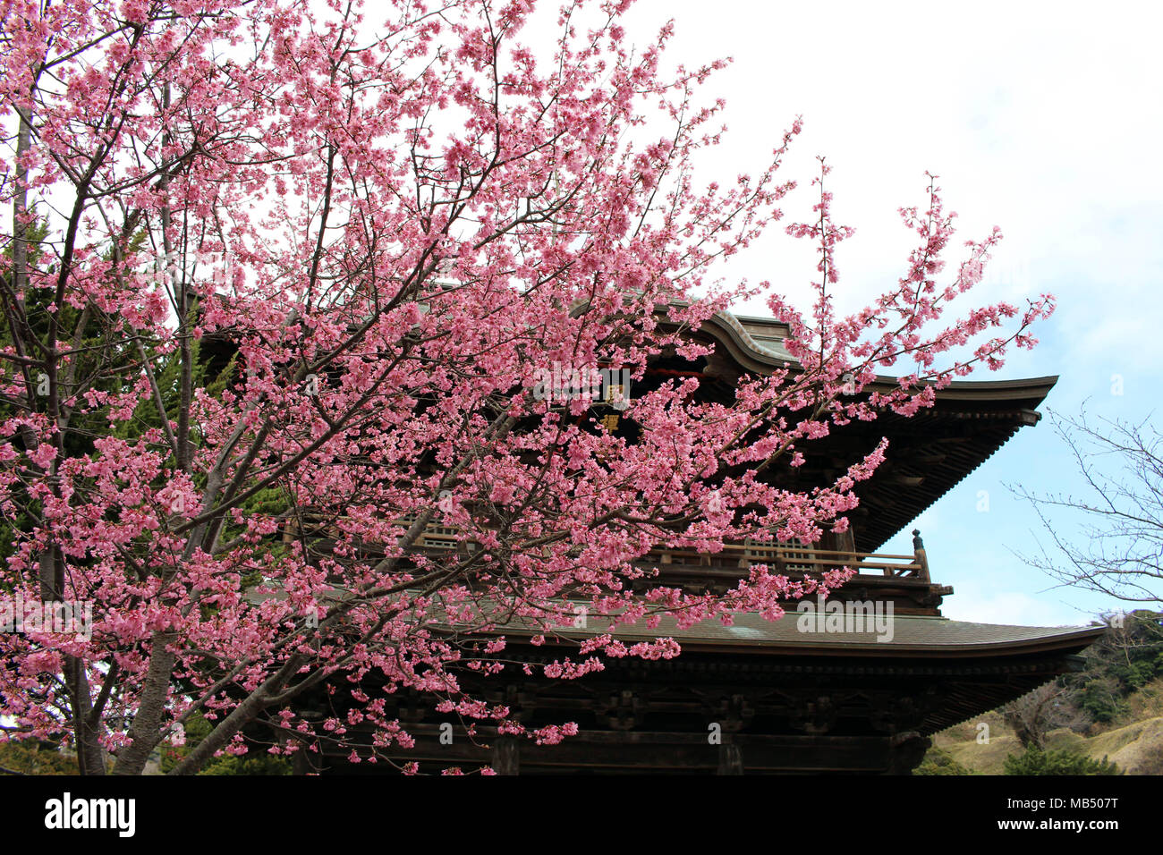 Traduzione: 'Kenchoji tempio Zen'. Uno dei cinque grandi templi Zen (Gozan). Prese a Kamakura, Giappone - Febbraio 2018. Foto Stock