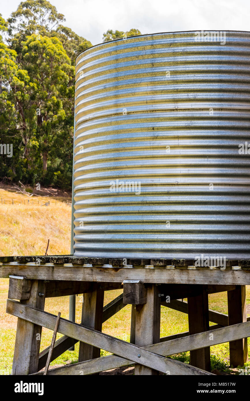 Metallo serbatoio acqua, albero verde in background. Metallo serbatoio acqua sulla struttura in legno nel paese la Tasmania. Foto Stock