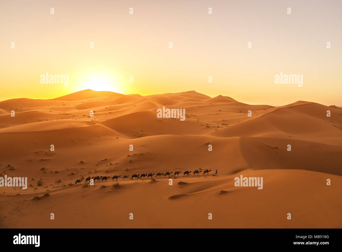 Erg Chebbi desert al tramonto, Sahara, Marocco Foto Stock