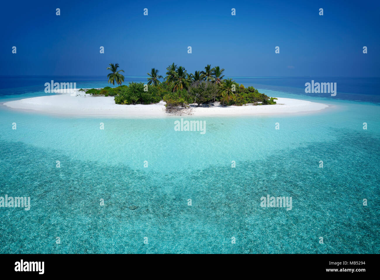 Disabitata palm island con spiaggia sabbiosa, offshore Coral reef, Ari Atoll, Oceano Indiano, Maldive Foto Stock