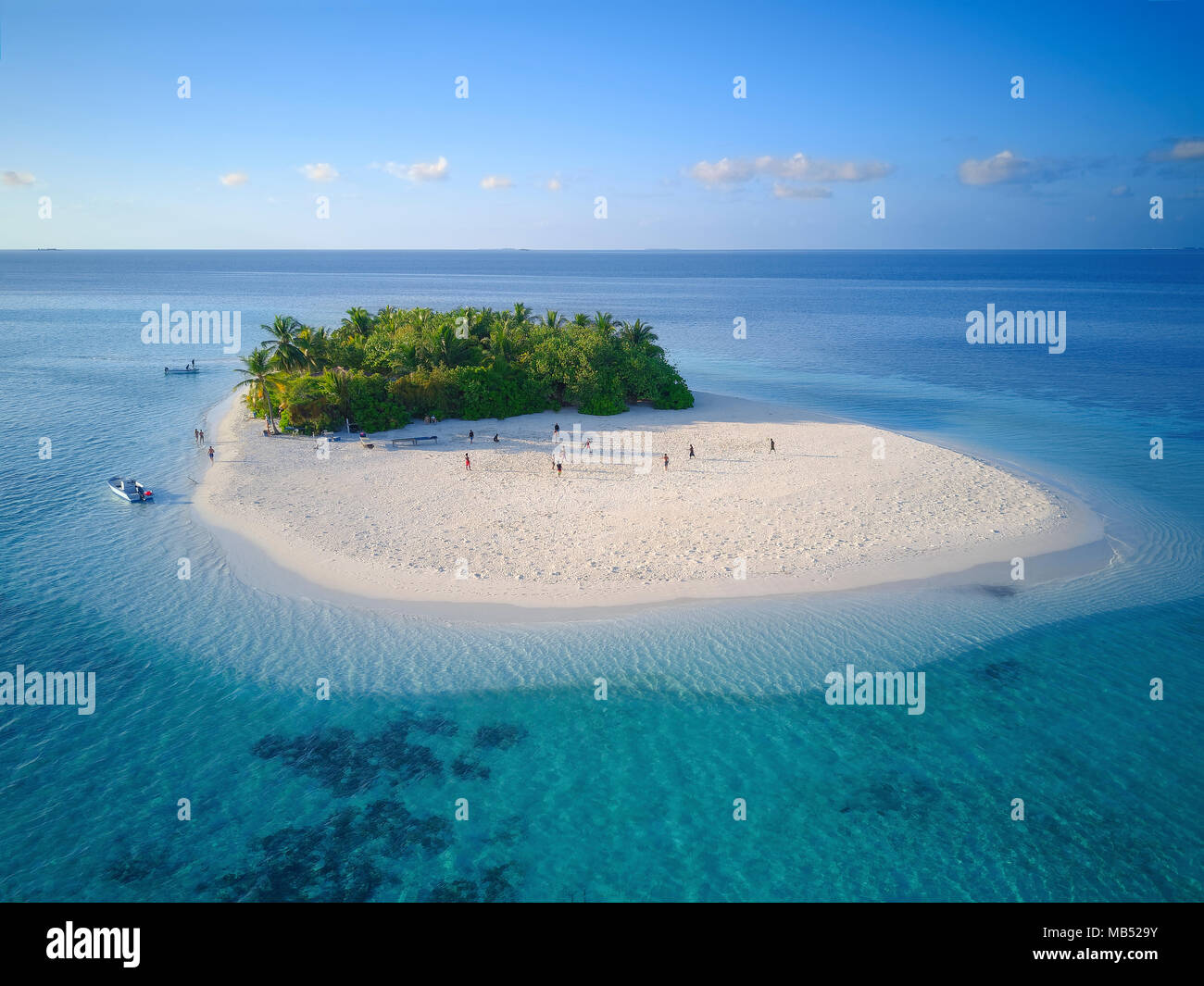 Isola disabitata per gite di un giorno con palme, boccole, spiaggia sabbiosa tutto intorno, offshore Coral reef, Ari Atoll, Oceano Indiano Foto Stock
