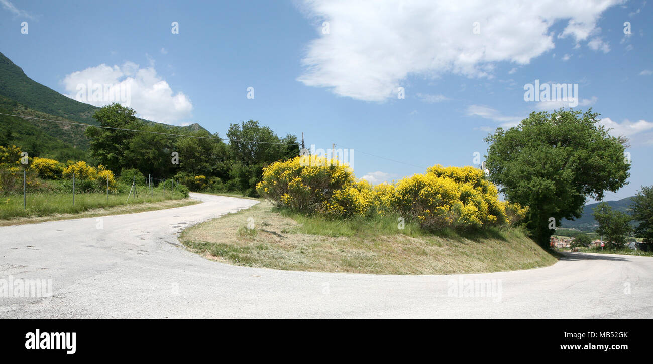 Piccola strada di montagna con fiori di ginestra Foto Stock