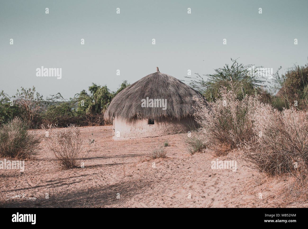 Deserto di Thar Foto Stock